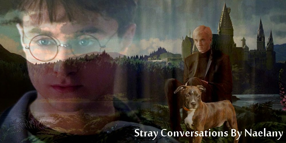 Banner courtesy of Fanarts_series