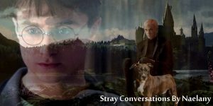 banner courtesy of fanarts_series 